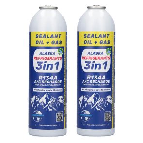 2 x 3en1 HC 134a (gas de sustitución R134)